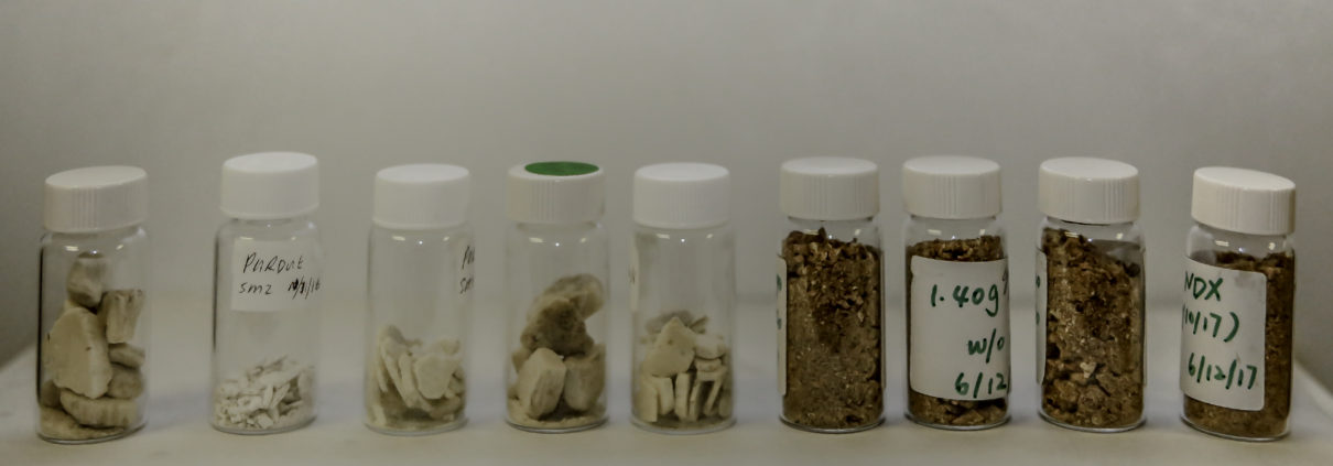 Lyophilized Organisms