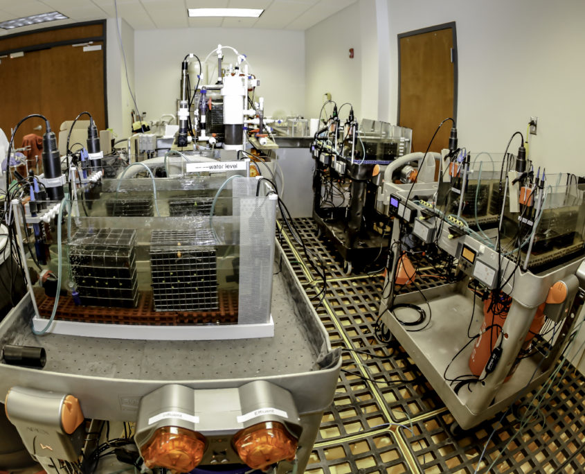 Pancopia Laboratory Set Up